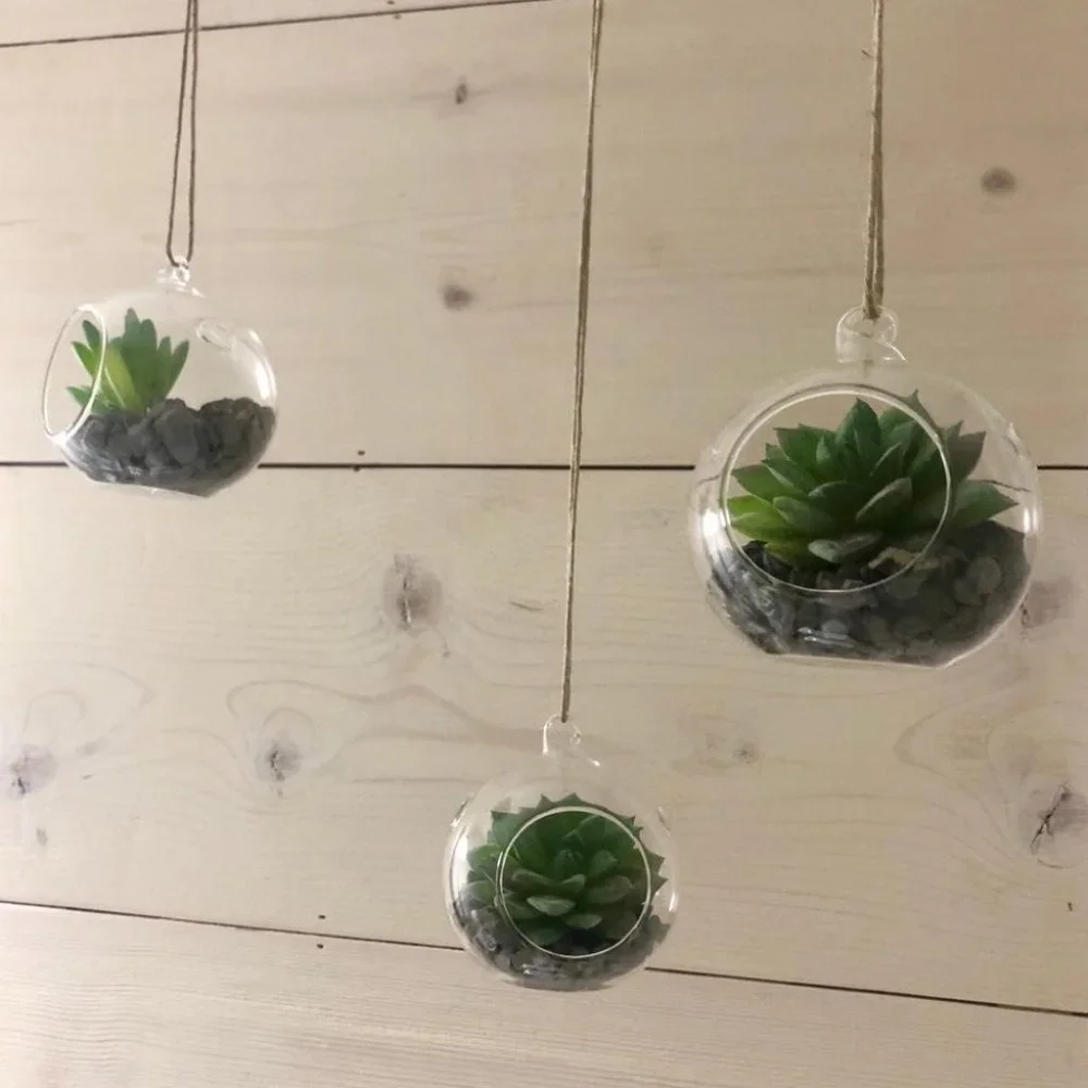 Set of 3 succulent terrariums - Picture 8 of 16